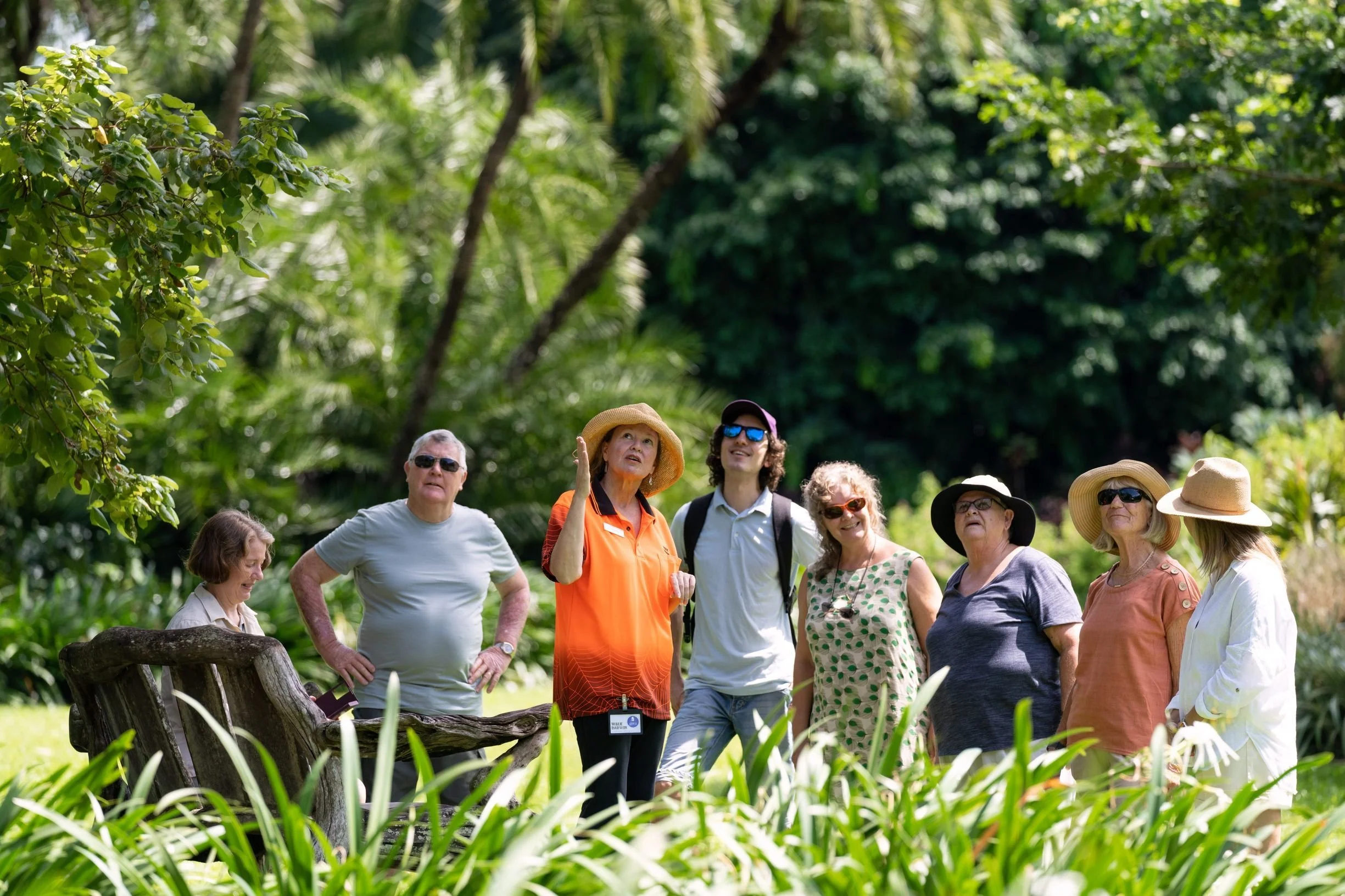 A sightseeing walking tour with a group of elderly folk in Darwin City and the George Brown Darwin Botanic Gardens in Australia