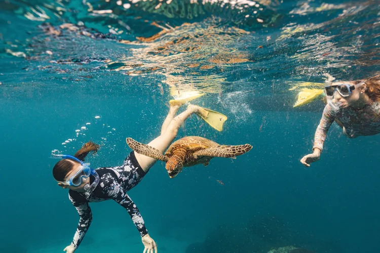A young girl snorkeling alongside a sea turtle in the Great Barrier Reef of Australia.