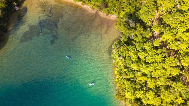 Aerial view of two paddle boarders out on the water in Marlborough, New Zealand.