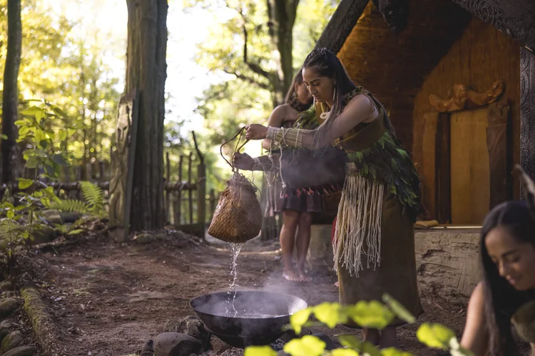 Traditional Māori healers participating in rongoā healing plant ceremonies in New Zealand, offering visitors exclusive insight into indigenous wellness practices and the spiritual connection to native plants.