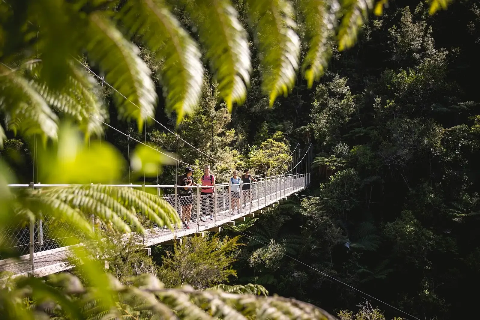 People walking across a suspended bridge surrounded by dense, lush green forest in Abel Tasman National Park near Nelson, New Zealand.
