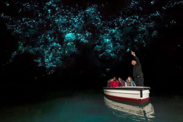 A group in a small boat drifts through New Zealand's Waitomo Glowworm Caves, with a guide pointing at the star-like glowworms illuminating the cave ceiling and reflecting on the still water.