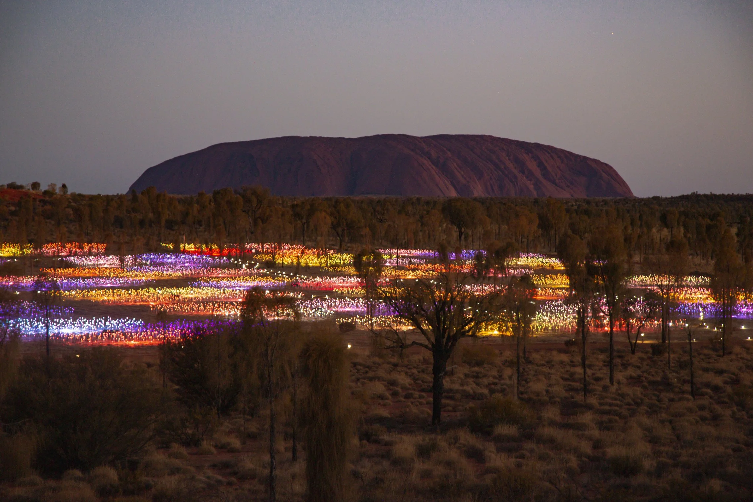Private access to Bruce Munro's Field of Light installation at Uluru, Australia, featuring thousands of illuminated lights glowing across the desert landscape at night.