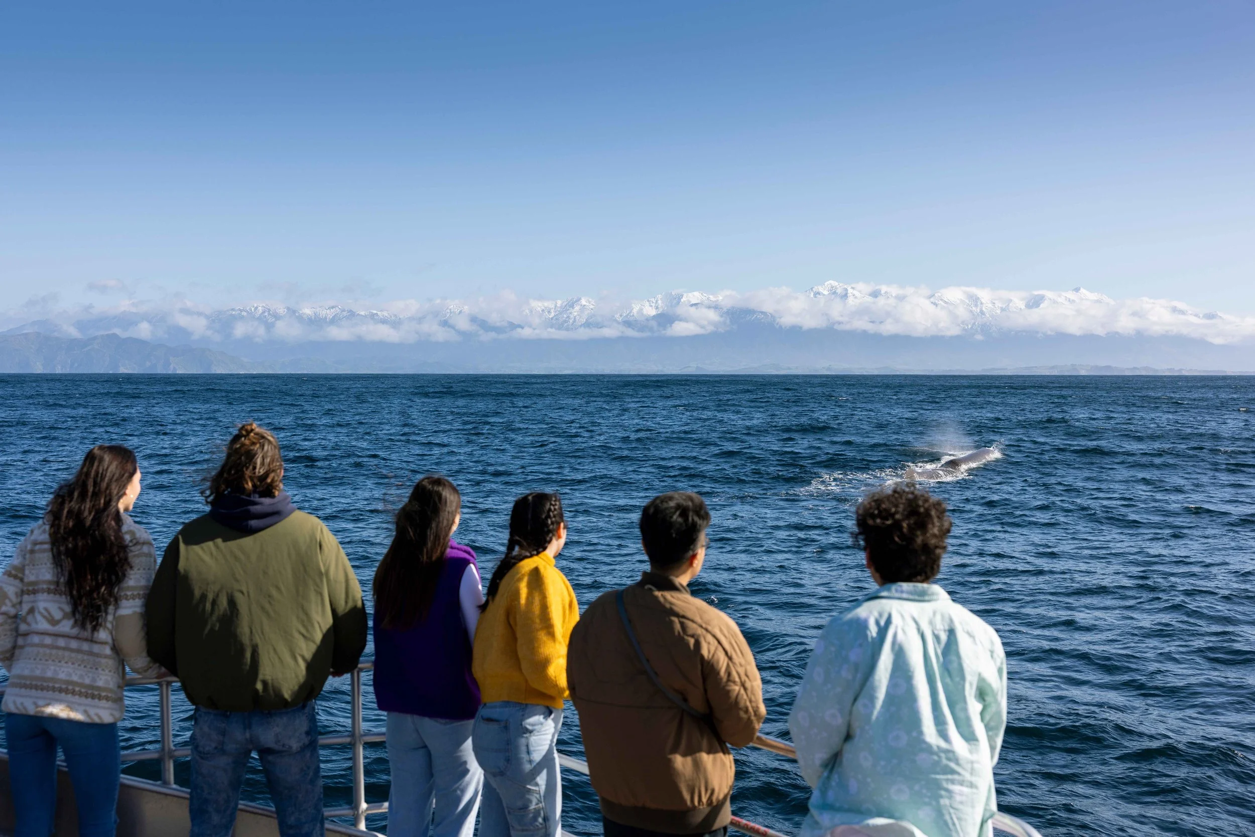 A tour boat watches as a whale surfaces during the seasonal migration off the coast of Kaikōura, New Zealand
