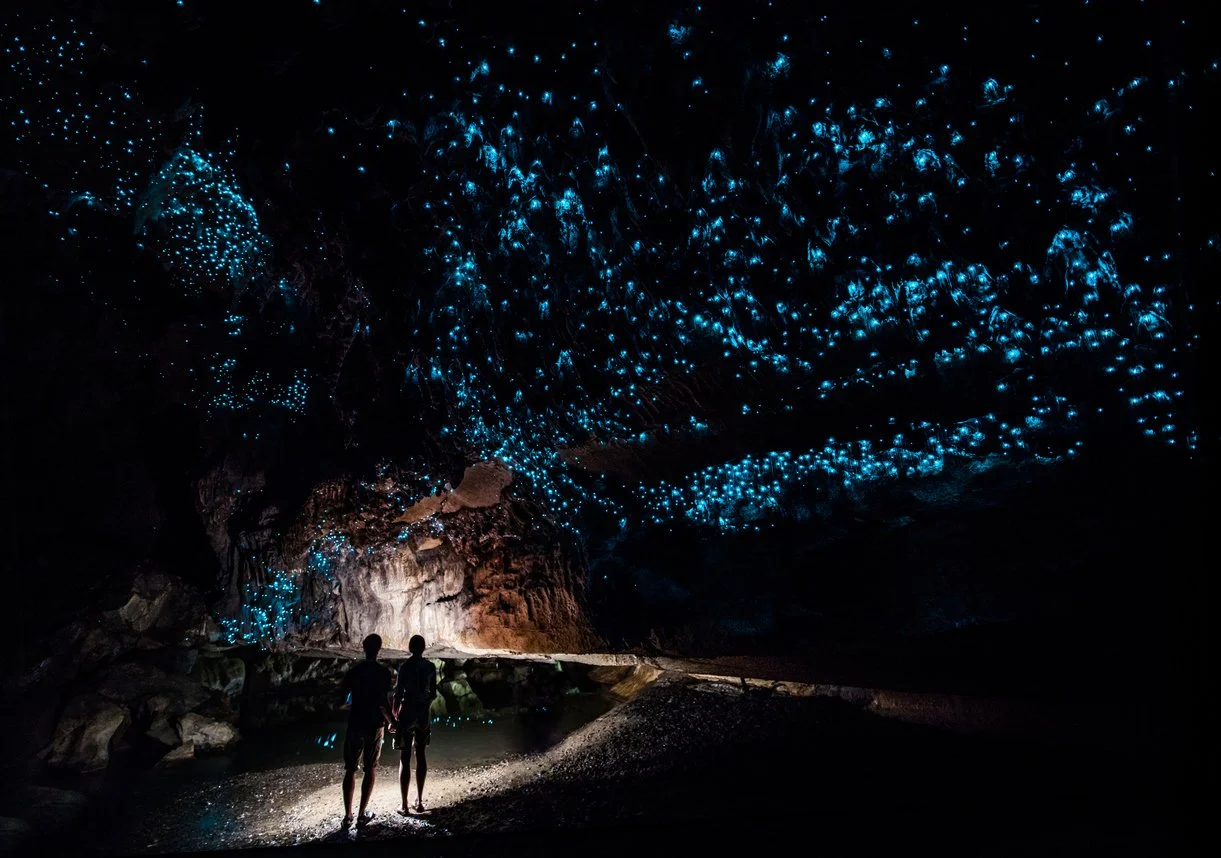 Visitors descend the steep canyons inside the Waitomo Caves in New Zealand