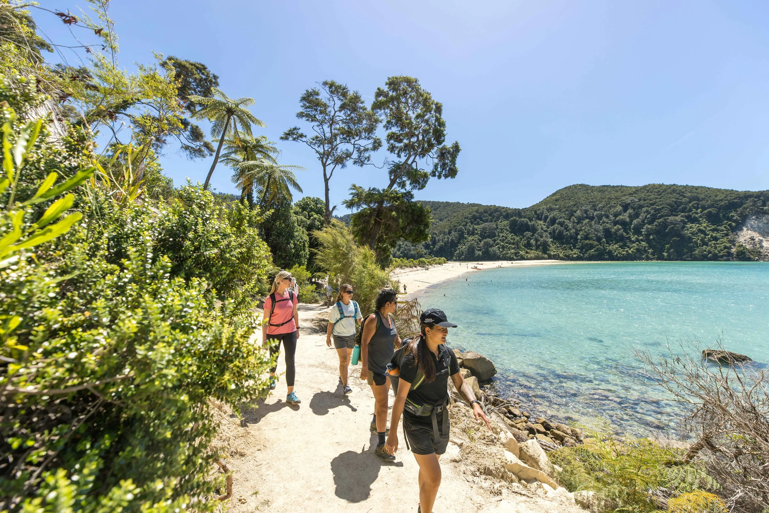 Guided walkers explore the golden beaches and coastal trails of Abel Tasman National Park in New Zealand