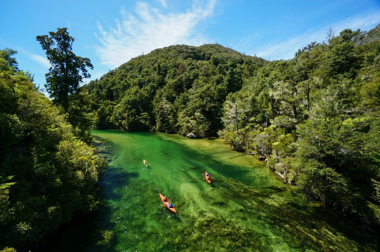 Guided walkers explore the golden beaches and coastal trails of Abel Tasman National Park in New Zealand