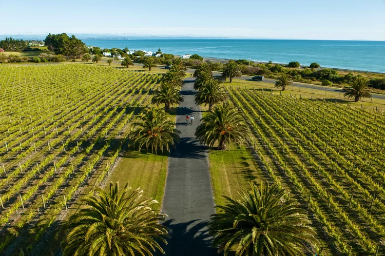 An aerial view of Haumoana in Hawke’s Bay, New Zealand, showcasing coastline, farmland, and rolling hills along the shore.