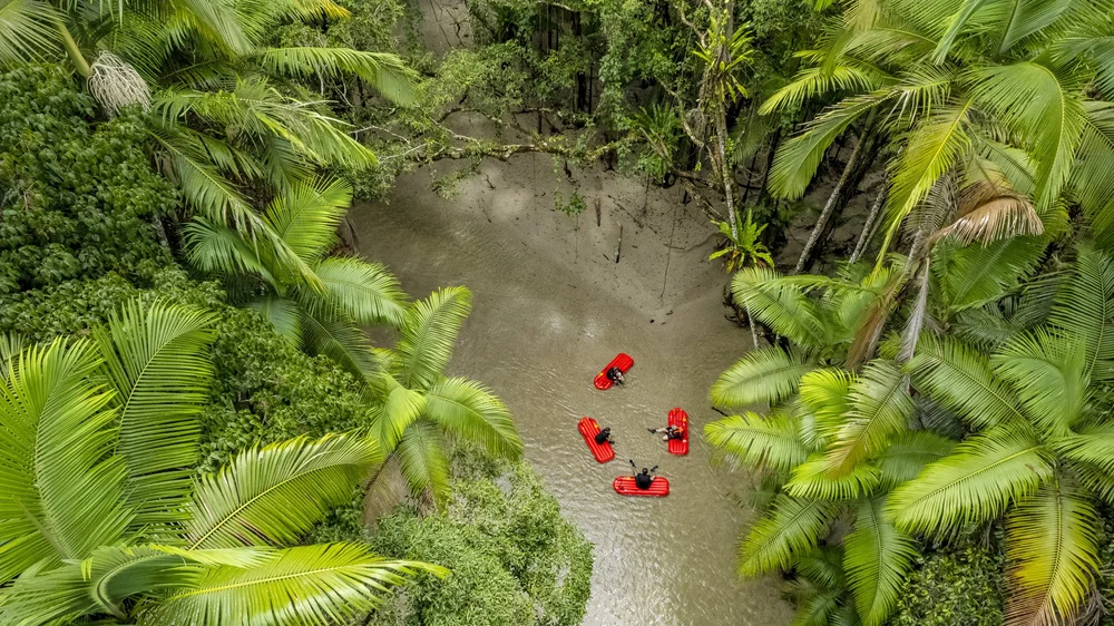 Four people on red inflatable float tubes in a green jungle river, surrounded by dense tropical foliage and tall palm trees.