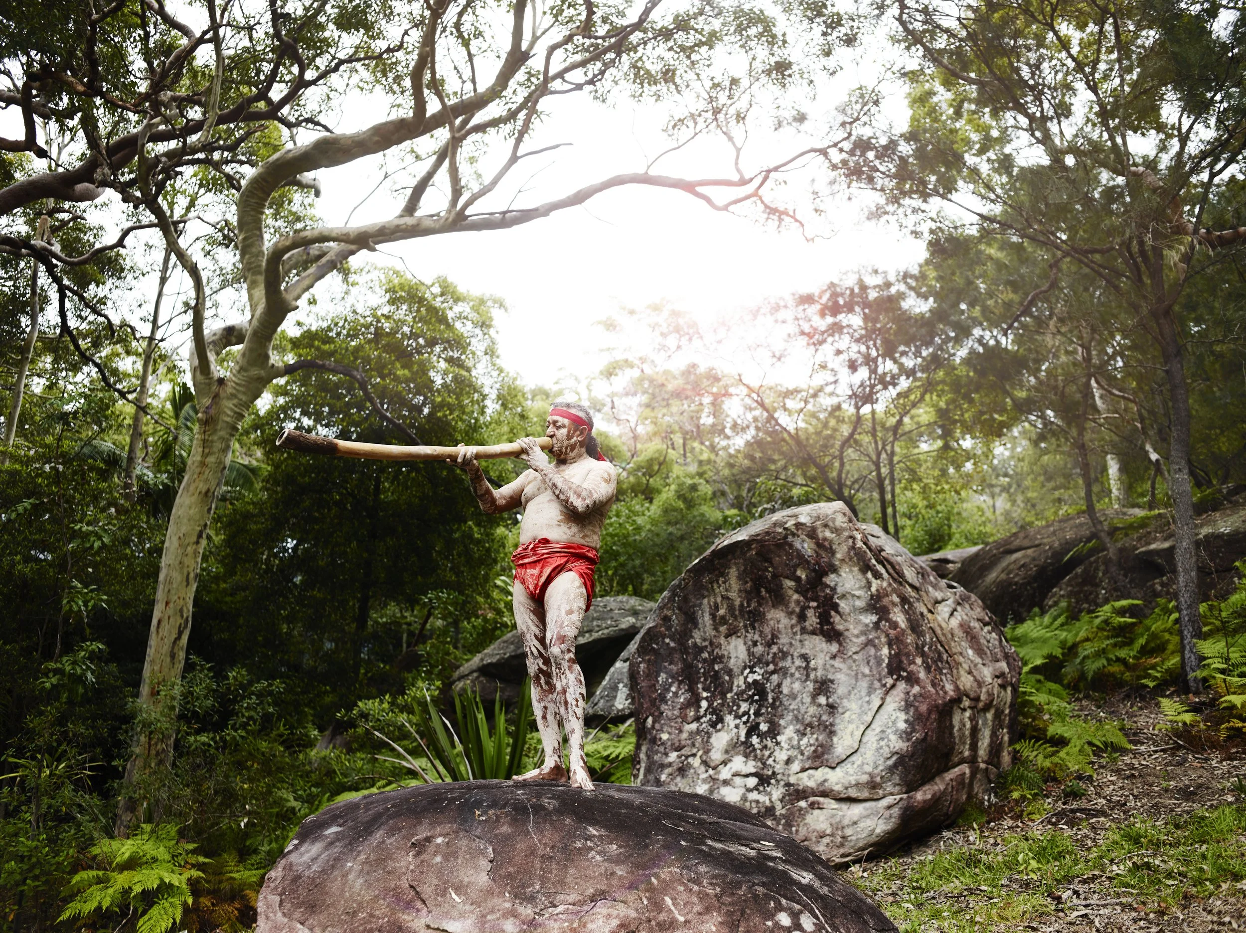 Shirtless Indigenous Australian man with body paint plays a didgeridoo on a large rock in a sunlit forest near Pretty Beach House, Sydney Surrounds.