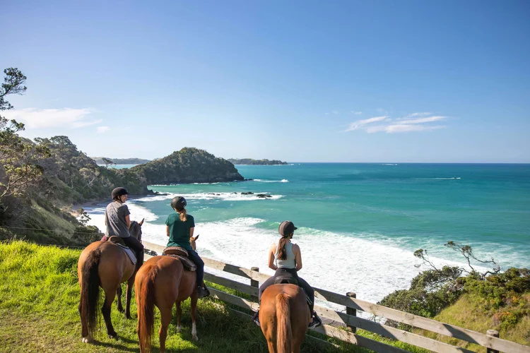 Three people ride horses along the scenic coastline trails of Matapōuri in Northland, New Zealand.