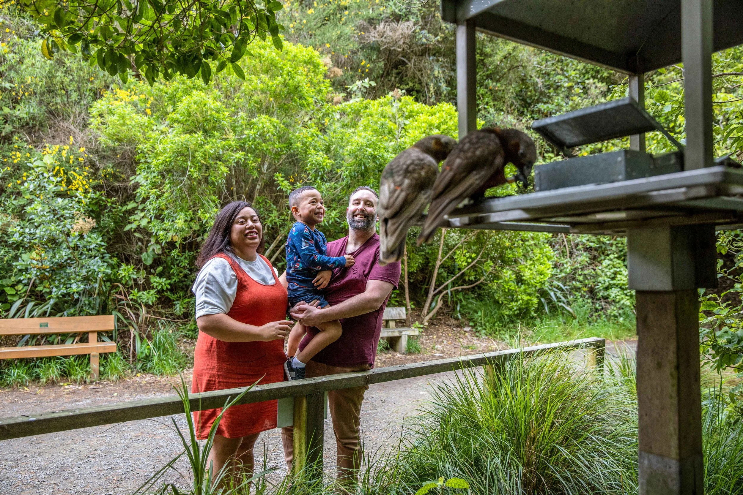 Visitors observe native birds and wildlife at Zealandia, a protected urban sanctuary in Wellington, New Zealand