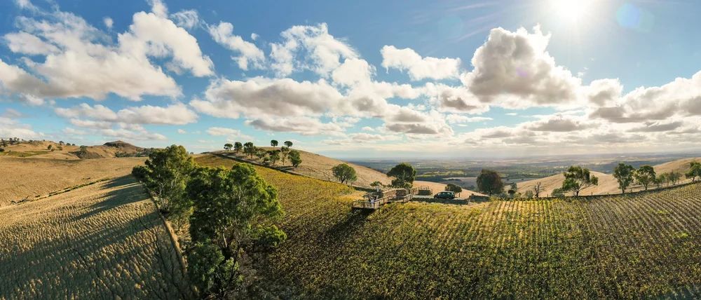 A scenic view of rolling hills with vineyards, scattered trees, and a bright sky with clouds and sunlight.