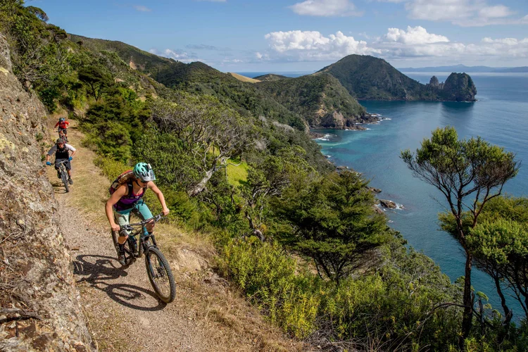 Cyclists ride along the scenic coastal trail at Fletcher Bay in the Coromandel, New Zealand, with ocean views and lush greenery.