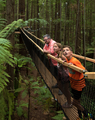 A father and two children standing on hanging suspension bridge in Rotorua's Redwood Forest, looking around in awe surrounded by lush greenery. 