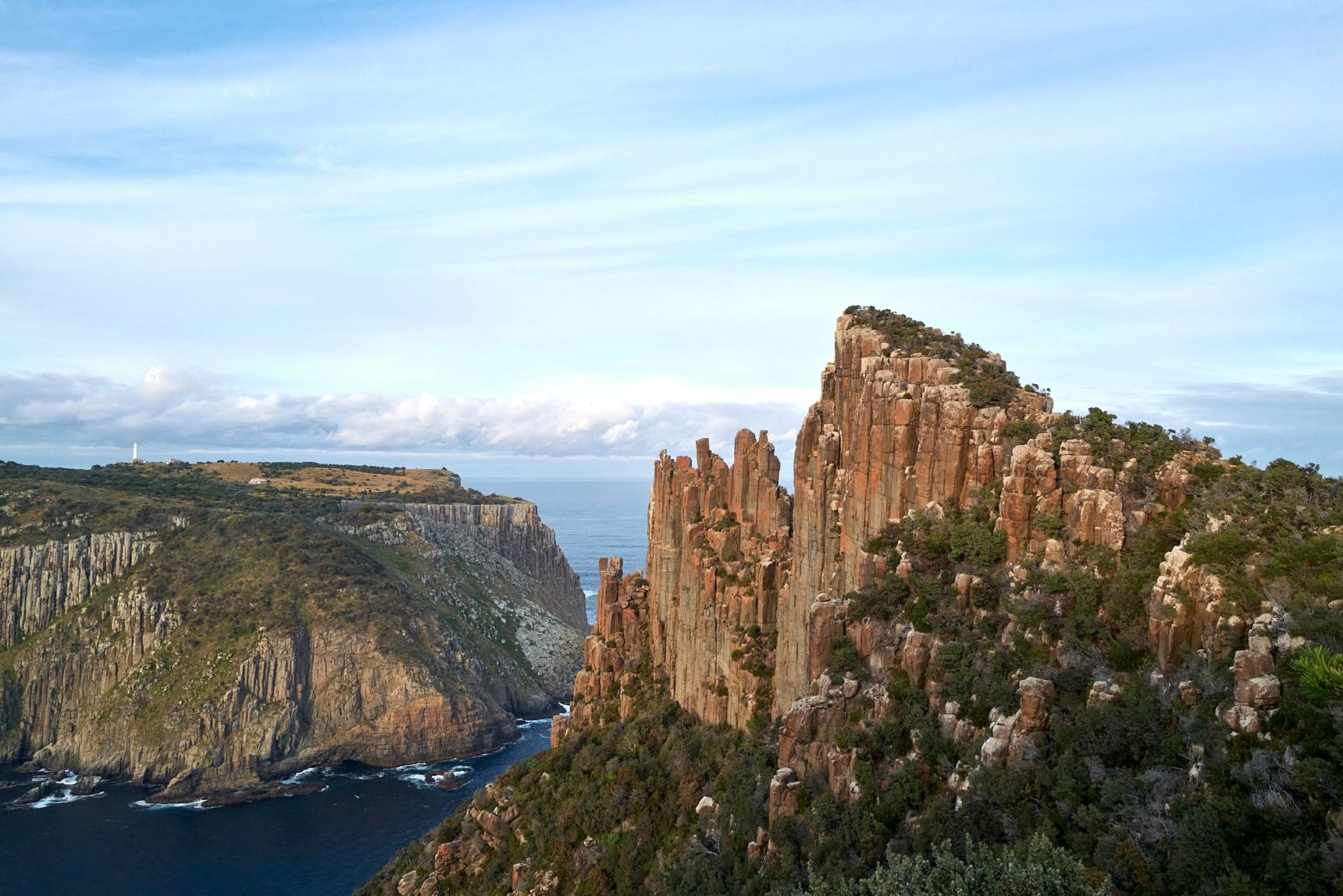 A trail winds through the lush, green ancient forests of Tasmania, Australia.